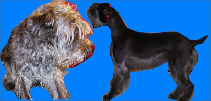 Kozmetika el�tt �s ut�n Sztics